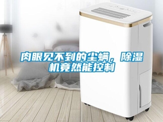 行業(yè)新聞肉眼見不到的塵螨，除濕機(jī)竟然能控制