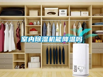 行業(yè)新聞室內(nèi)除濕機能降溫嗎