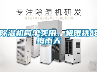 常見問題除濕機簡單實用，極限挑戰梅雨天