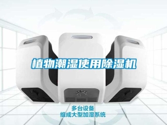 知識(shí)百科植物潮濕使用除濕機(jī)