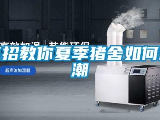 常見問(wèn)題五招教你夏季豬舍如何防潮