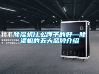 企業新聞除濕機什么牌子的好—除濕機的五大品牌介紹