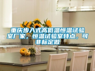 知識百科重慶步入式高低溫恒溫試驗室廠家，恒溫試驗室特點，可非標定做