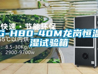 常見問題MG-H80-40M龍崗恒溫恒濕試驗箱