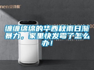 常見問題纏纏綿綿的華西秋雨日漸暴力，家里快發霉了怎么辦！