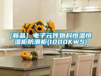 常見問題[新品] 電子元件物料恒溫恒濕柜防潮柜(1000KWS)