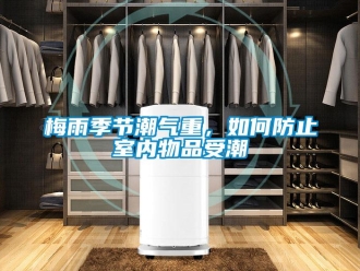 常見(jiàn)問(wèn)題梅雨季節(jié)潮氣重，如何防止室內(nèi)物品受潮