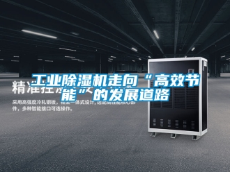 常見問題工業(yè)除濕機走向“高效節(jié)能”的發(fā)展道路