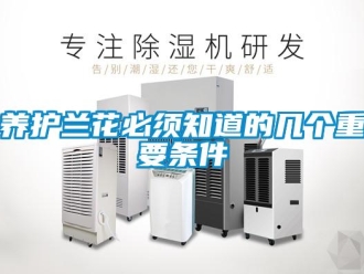 知識百科養(yǎng)護蘭花必須知道的幾個重要條件