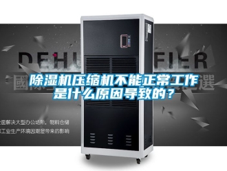 行業新聞除濕機壓縮機不能正常工作是什么原因導致的？