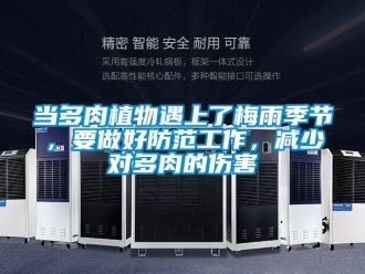 企業(yè)新聞當多肉植物遇上了梅雨季節(jié)，要做好防范工作，減少對多肉的傷害