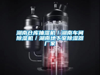 企業(yè)新聞湖南倉(cāng)庫(kù)抽濕機(jī)／湖南車間除濕機(jī)／湖南地下室除濕器廠家