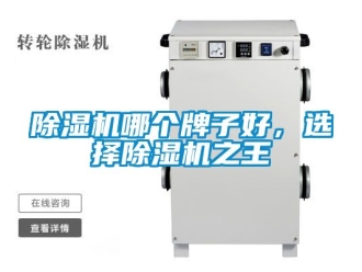 行業(yè)新聞除濕機哪個牌子好，選擇除濕機之王