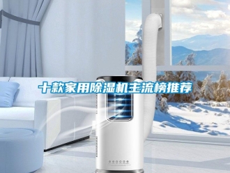 常見問(wèn)題十款家用除濕機(jī)主流榜推薦