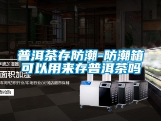 常見問題普洱茶存防潮-防潮箱可以用來存普洱茶嗎