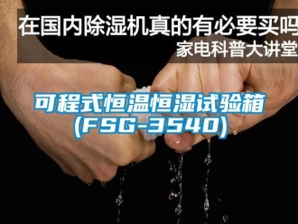 知識百科可程式恒溫恒濕試驗箱(FSG-3540)