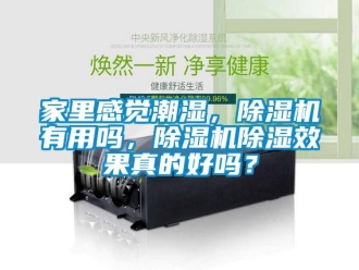 行業(yè)新聞家里感覺潮濕，除濕機有用嗎，除濕機除濕效果真的好嗎？