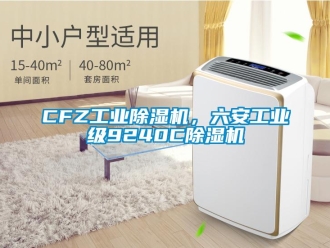 常見問題CFZ工業除濕機，六安工業級9240C除濕機