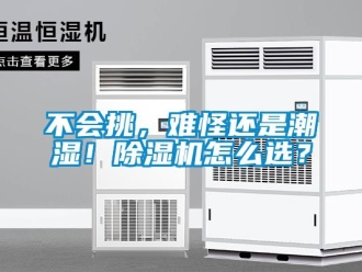 企業新聞不會挑，難怪還是潮濕！除濕機怎么選？