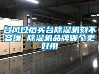 企業新聞臺風過后買臺除濕機刻不容緩 除濕機品牌哪個更好用