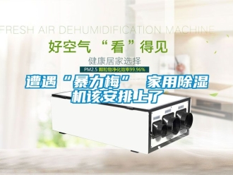 常見(jiàn)問(wèn)題遭遇“暴力梅” 家用除濕機(jī)該安排上了