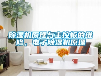 行業(yè)新聞除濕機(jī)原理與主控板的維修，電子除濕機(jī)原理