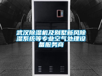 常見問題武漢除濕機及別墅新風除濕系統等專業空氣處理設備服務商