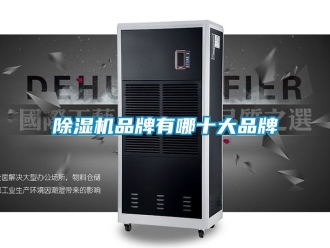 企業新聞除濕機品牌有哪十大品牌