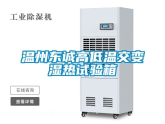 常見問題溫州東誠高低溫交變濕熱試驗箱