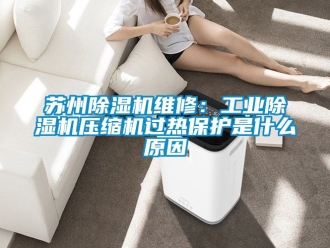 常見問題蘇州除濕機維修：工業除濕機壓縮機過熱保護是什么原因