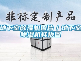 行業(yè)新聞地下室除濕機(jī)圖片／地下室除濕機(jī)樣板圖