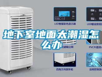 常見問題地下室地面太潮濕怎么辦