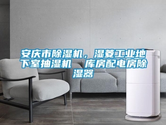 常見問題安慶市除濕機，濕菱工業(yè)地下室抽濕機  庫房配電房除濕器
