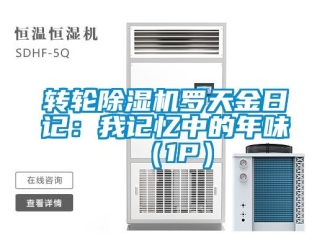 常見問題轉輪除濕機羅天金日記：我記憶中的年味 （1P）