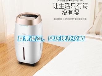 知識百科夏季潮濕，壁紙挽救攻略