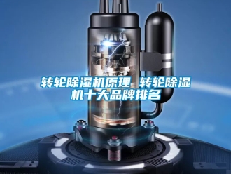 常見問題轉輪除濕機原理 轉輪除濕機十大品牌排名