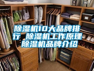 企業新聞除濕機10大品牌排行 除濕機工作原理 除濕機品牌介紹
