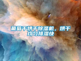 行業新聞葡萄干烘干除濕機，烘干均勻排濕快