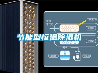 行業新聞節能型恒溫除濕機