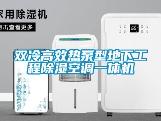 行業新聞雙冷高效熱泵型地下工程除濕空調一體機