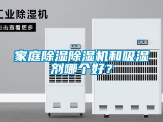 行業新聞家庭除濕除濕機和吸濕劑哪個好？