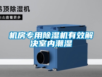 行業(yè)新聞機(jī)房專用除濕機(jī)有效解決室內(nèi)潮濕