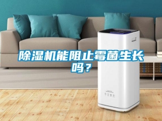 常見問題除濕機能阻止霉菌生長嗎？