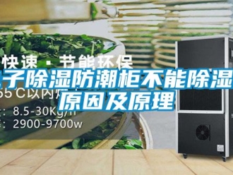 常見問題電子除濕防潮柜不能除濕的原因及原理