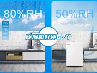 行業新聞除濕機好評67個