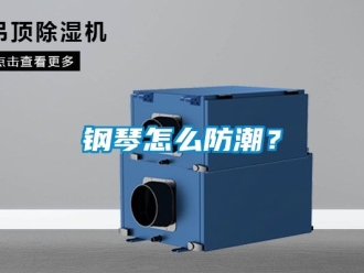 常見問題鋼琴怎么防潮？