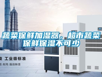 知識百科蔬菜保鮮加濕器，超市蔬菜保鮮保濕不可少