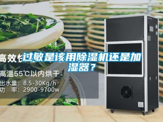 行業(yè)新聞過敏是該用除濕機(jī)還是加濕器？