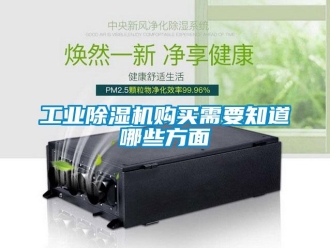 企業(yè)新聞工業(yè)除濕機(jī)購買需要知道哪些方面
