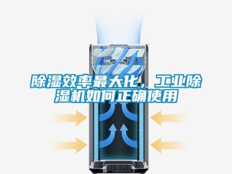 常見問題除濕效率最大化，工業除濕機如何正確使用